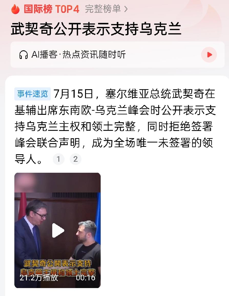 武契奇既支持乌克兰的主权和领土完整，又拒绝签署对俄制裁的决议，成为与会国中的特例