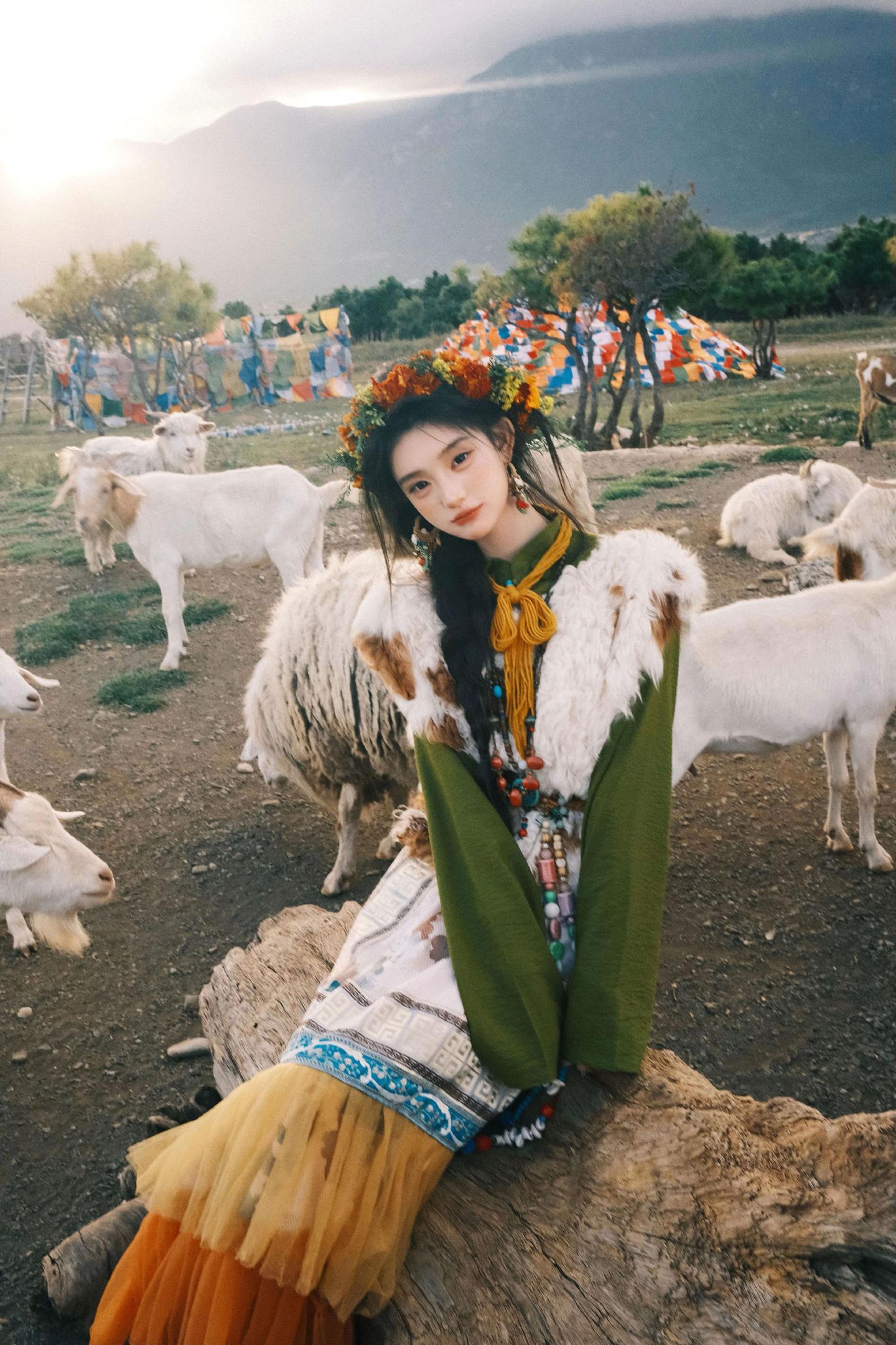 该我来丽江拍小羊啦。