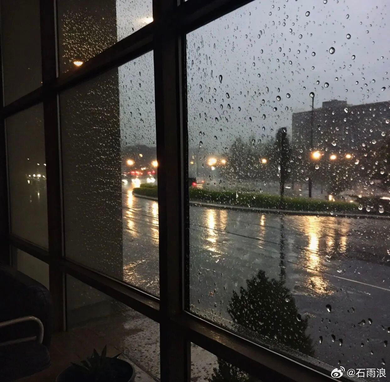 “不同的列车都在开往更好的地方。”金牛座我到底有多少东西治愈情感