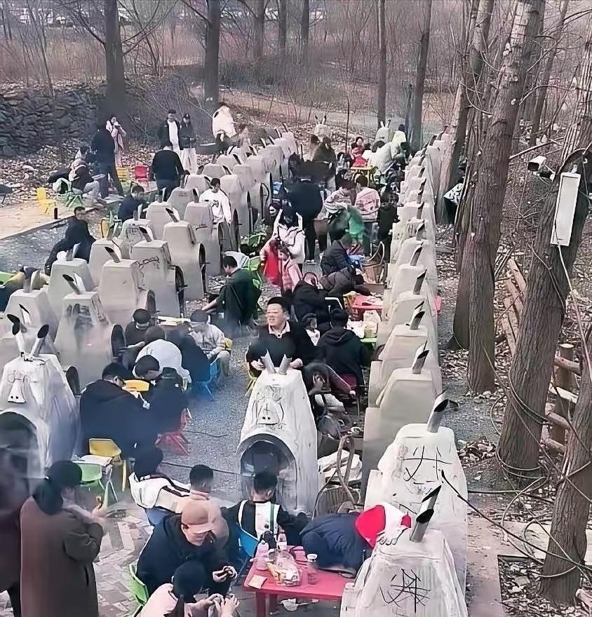 这个是啥？有人看懂的吗？