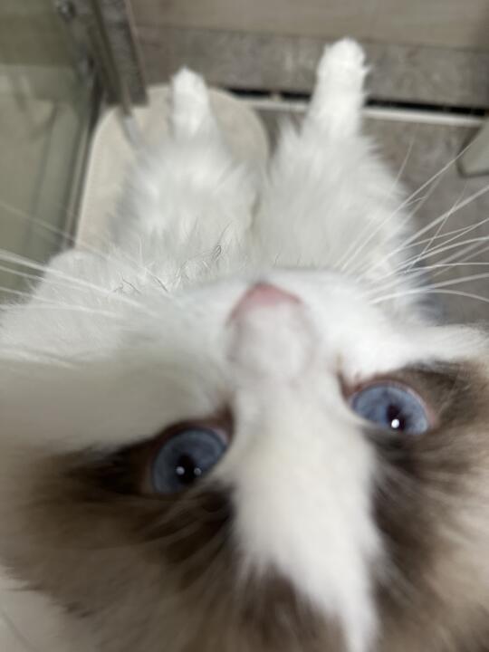 人！泥在干嘛？