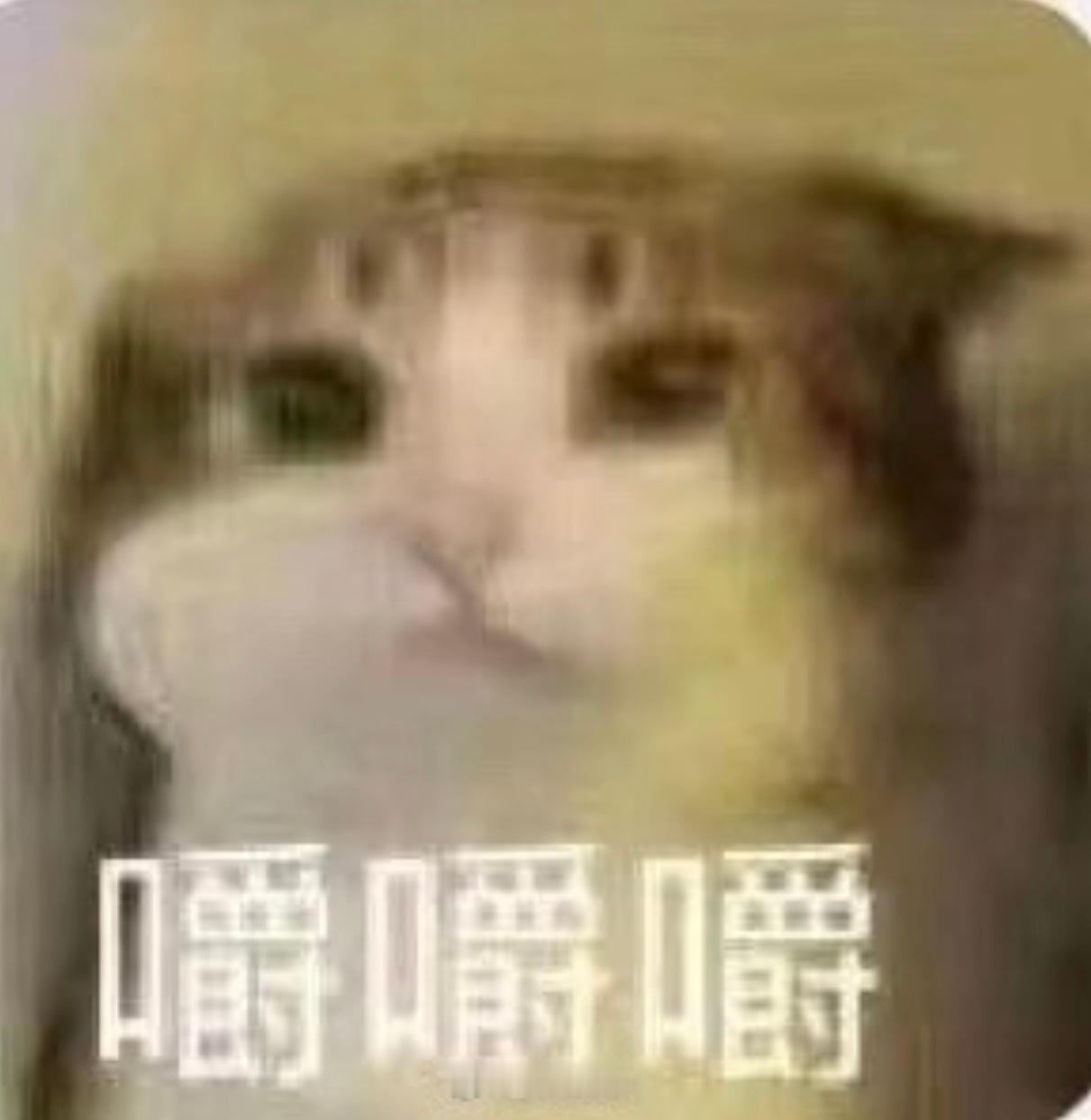 在外面吃饭，隔壁桌两个妹子在聊天，说到最近新谈的男朋友。“他就是年龄偏大一点，8