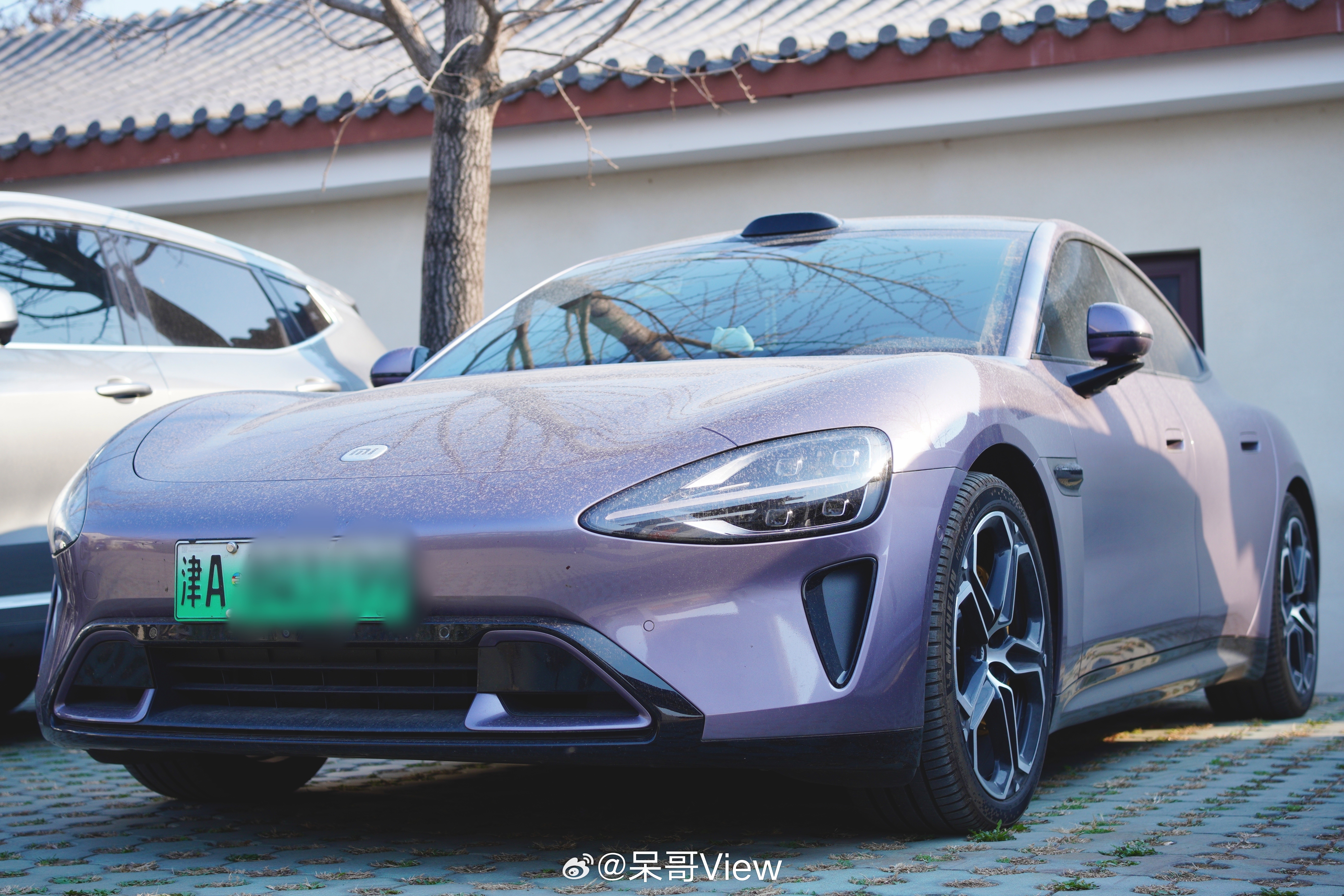 有谁能拒绝霞光紫呢？ 