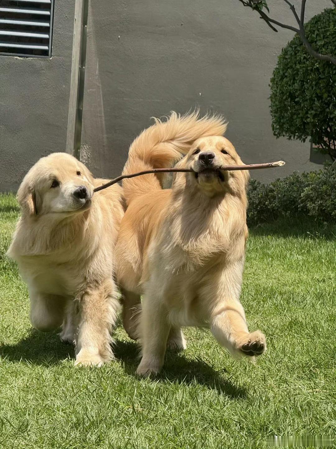 高超高越小时候为了打游戏偷电饭煲充电线be like： 