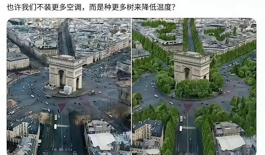 欧洲人主打一个死板。个人主义至上，害得他们真是不浅。明明种树，对大家都好，但他们