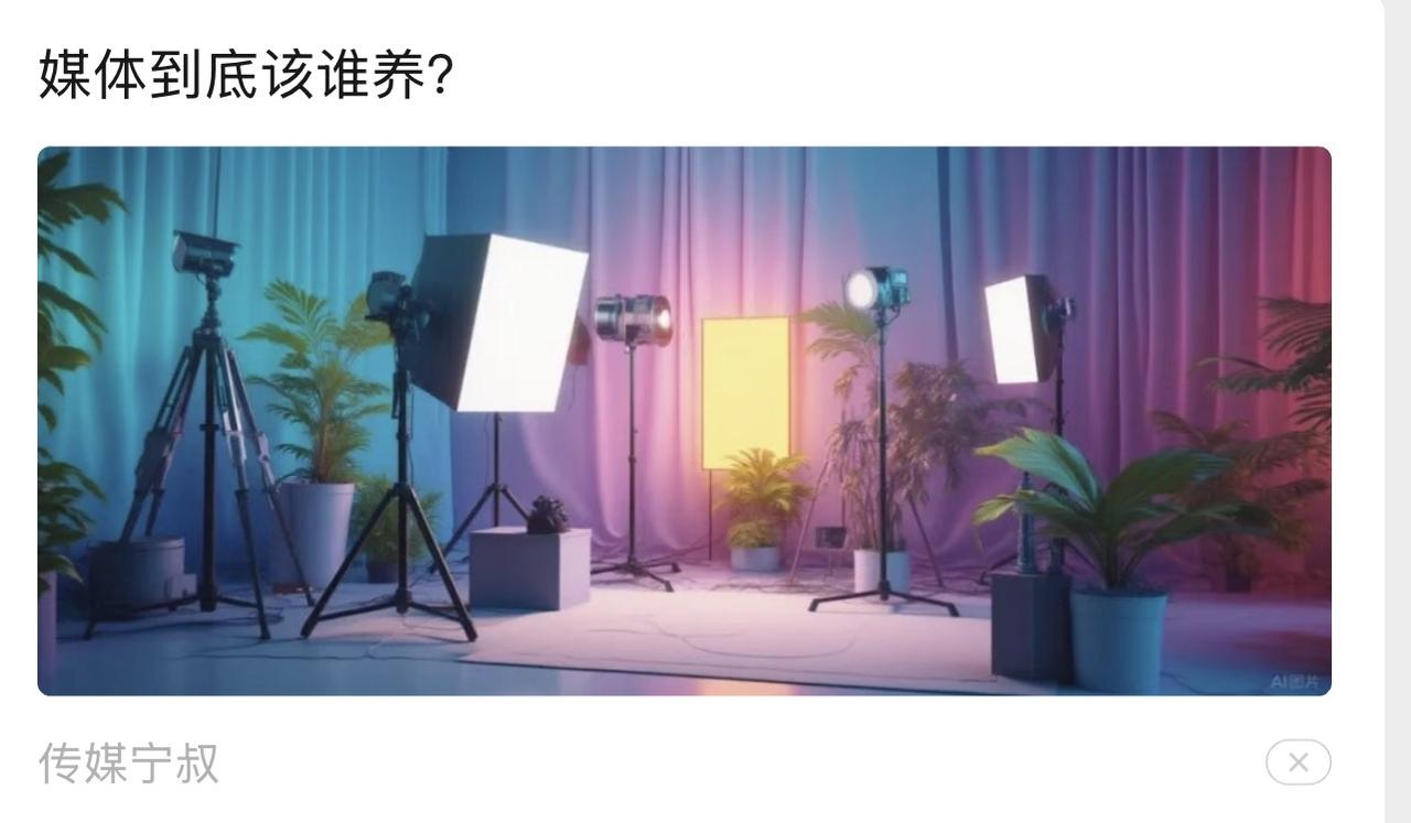 媒体到底应该谁养？自媒体当然是自己生存，但是官方媒体一定要政府财政兜底，眼下很多