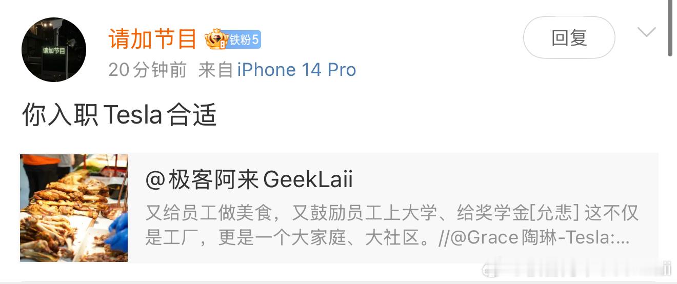 已经很多粉丝提到让我入职特斯拉。曾经确实有人给我递出过橄榄枝，待遇也很不错，能从