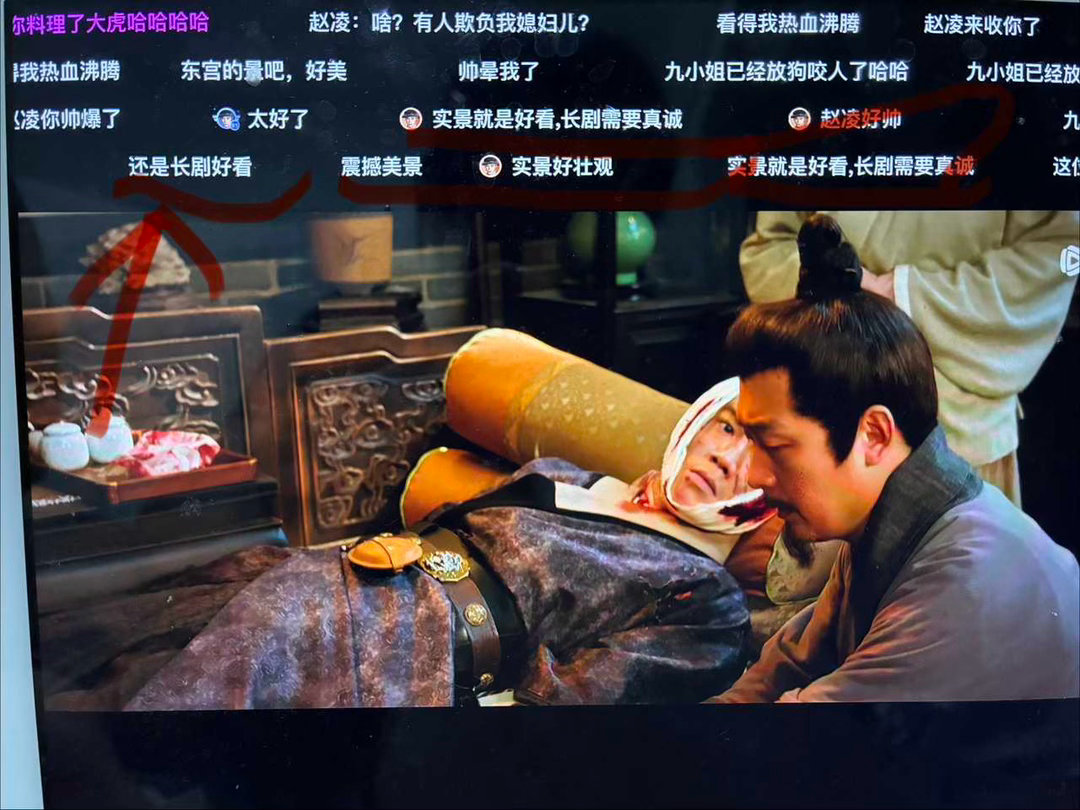 “还是长剧好看”，花开锦绣真是长剧之光 ﻿丁禹兮赵凌 丁禹兮花开锦绣