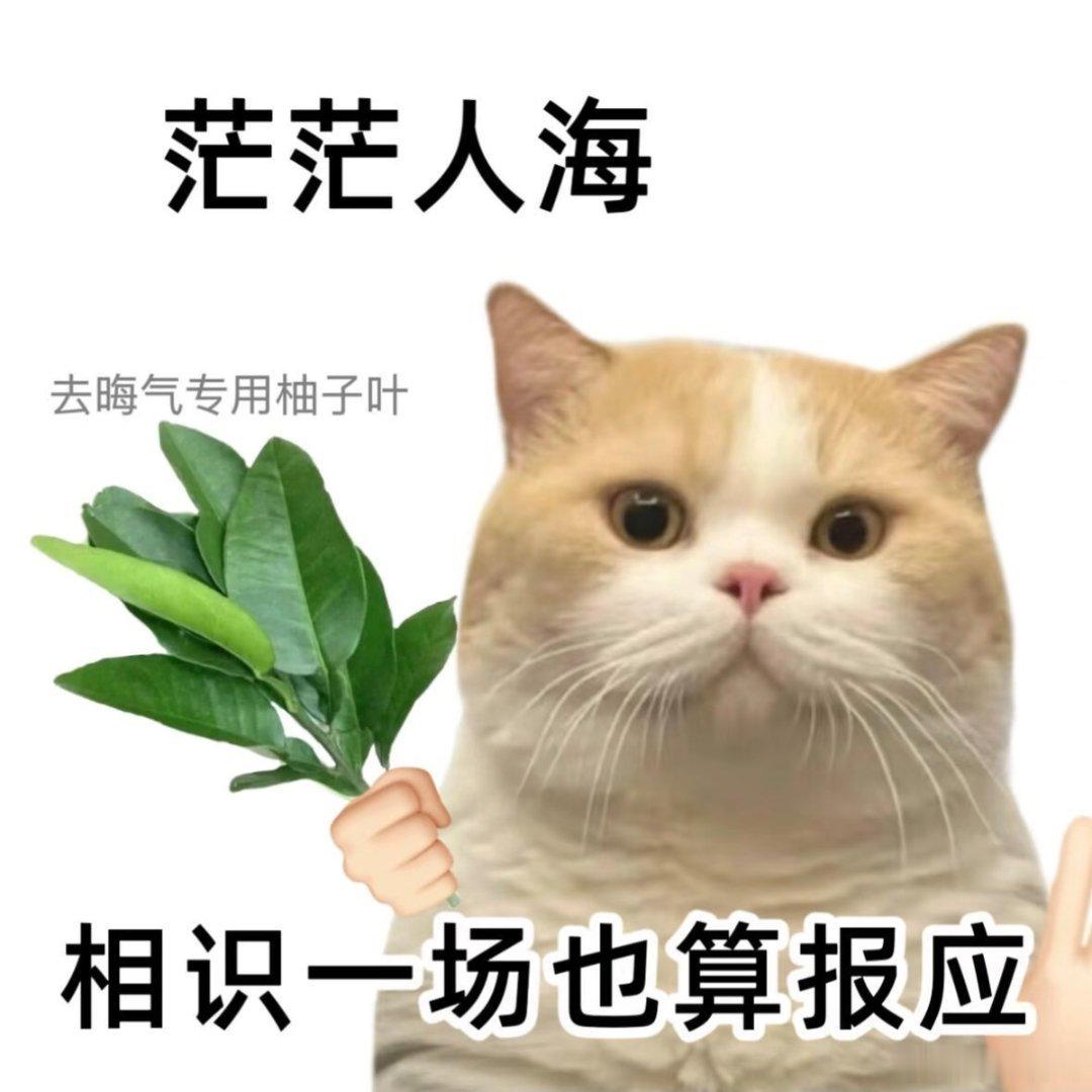 ……就不应该抱有期待 继续等 