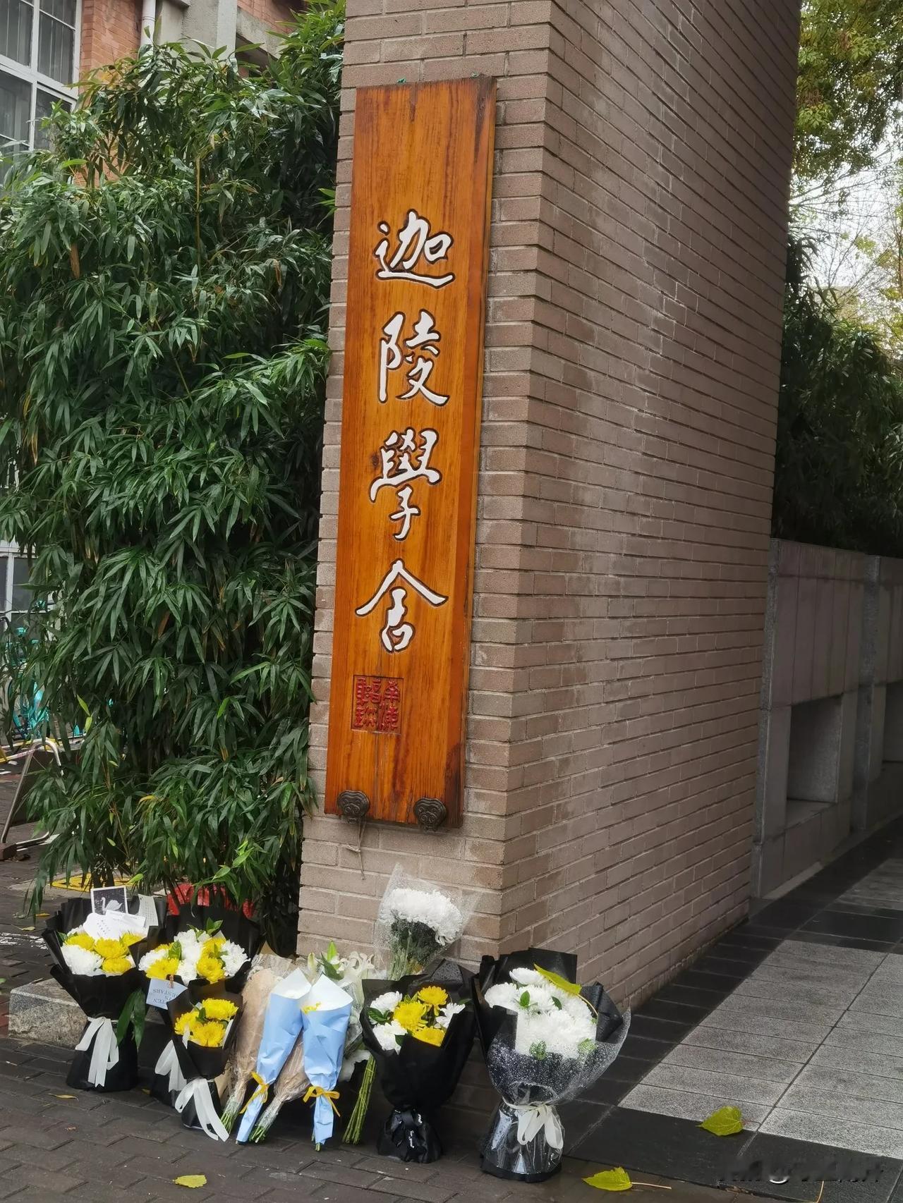雨中吊唁叶嘉莹大师（摄于南开大学八里台迦陵学舍外）