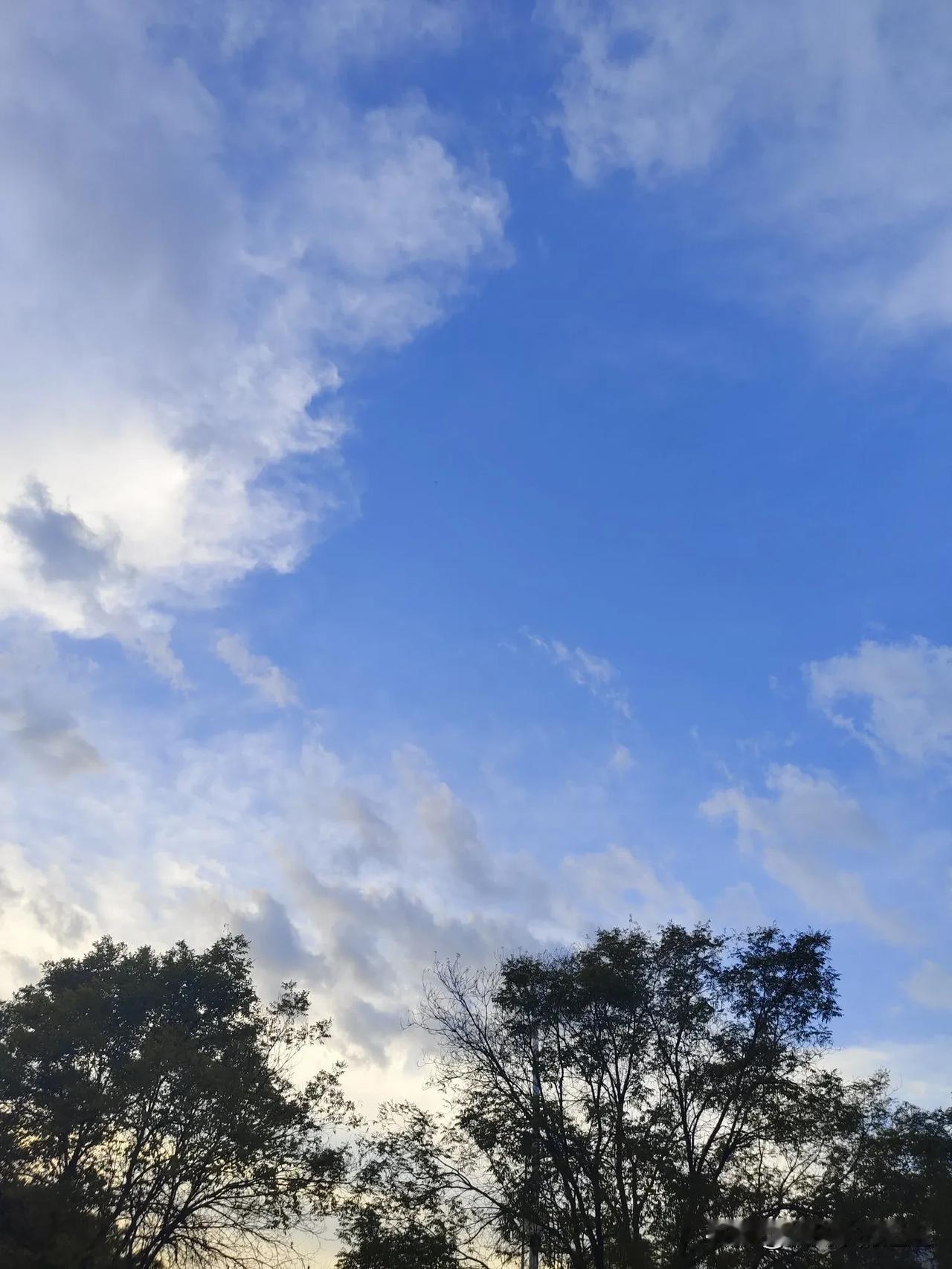 昨晚失眠，今早受了点伤，不过心情舒爽。

一大早，外面的天麻阴麻阴的，细雨丝丝，
