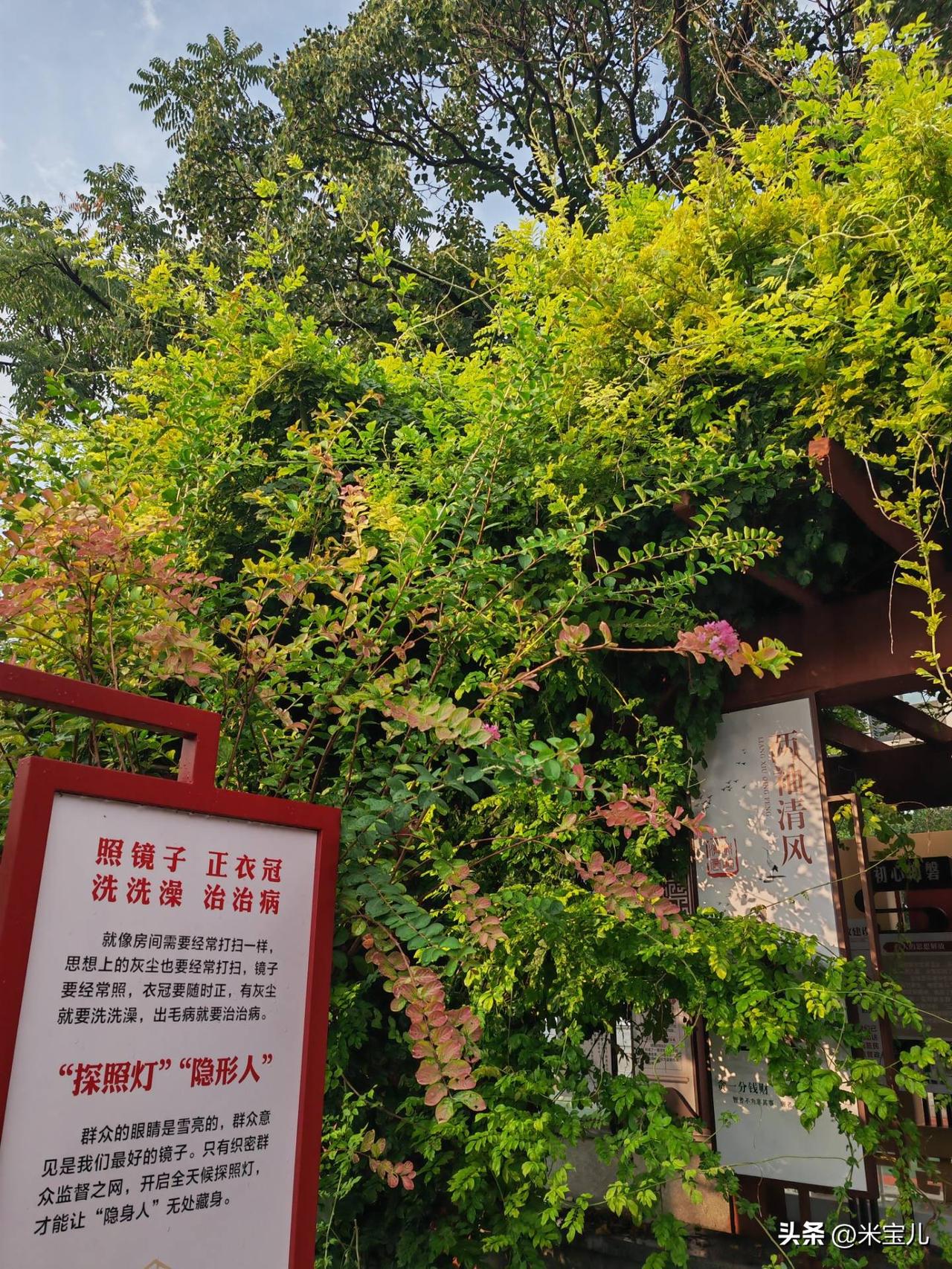 人活着到底为了什么？
俗话说：四十不惑，
可是随着年龄的增长，
我越来越疑惑了。