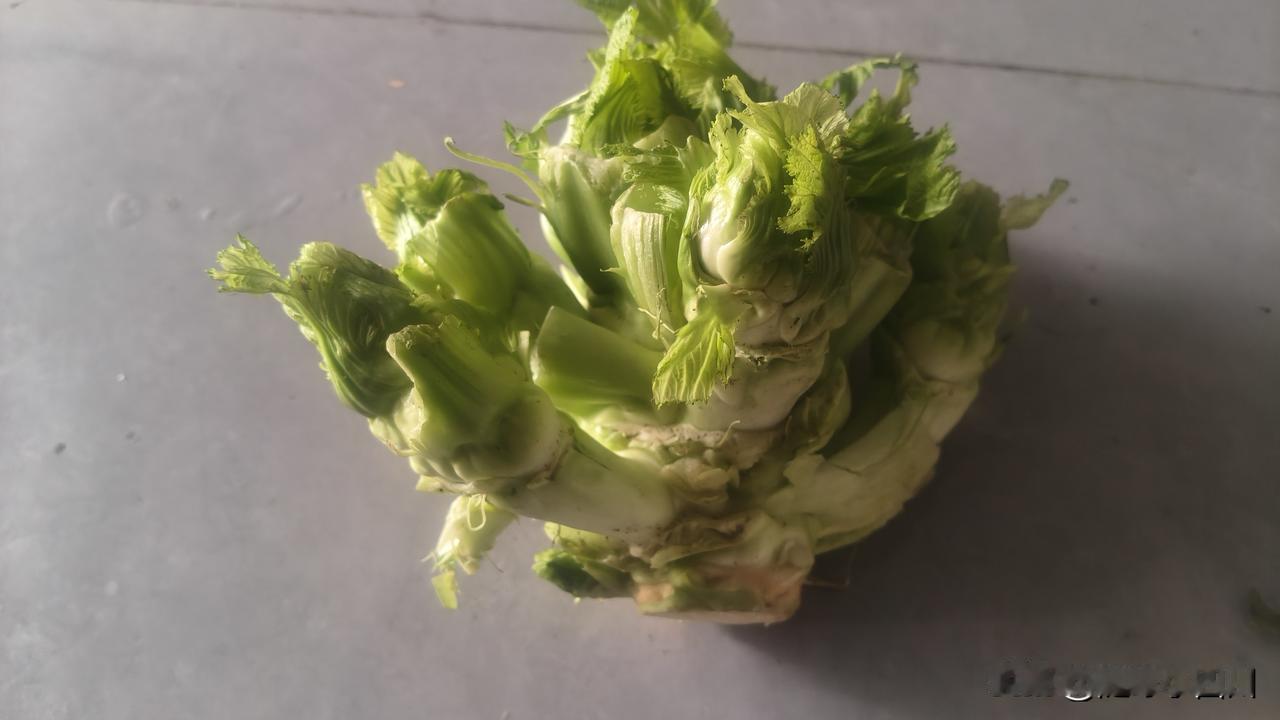 分享我这周有趣的事：超市卖菜又秒招，去超市买菜，蔬菜区有一堆儿菜，招牌上写着儿带