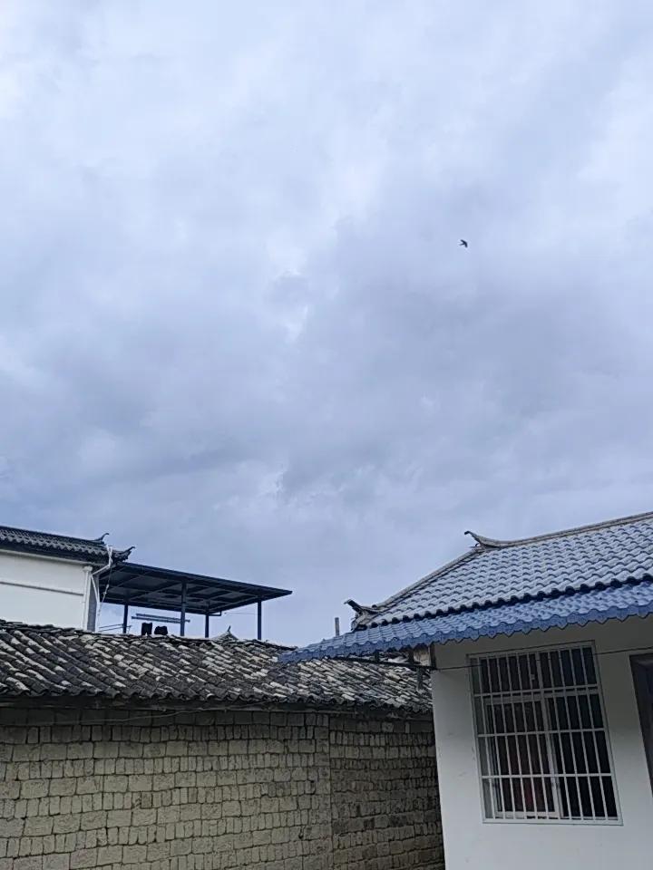 兰坪这天气真是让人捉摸不透，雨一会儿下一会儿停，跟闹着玩似的。现在兰坪气温19.