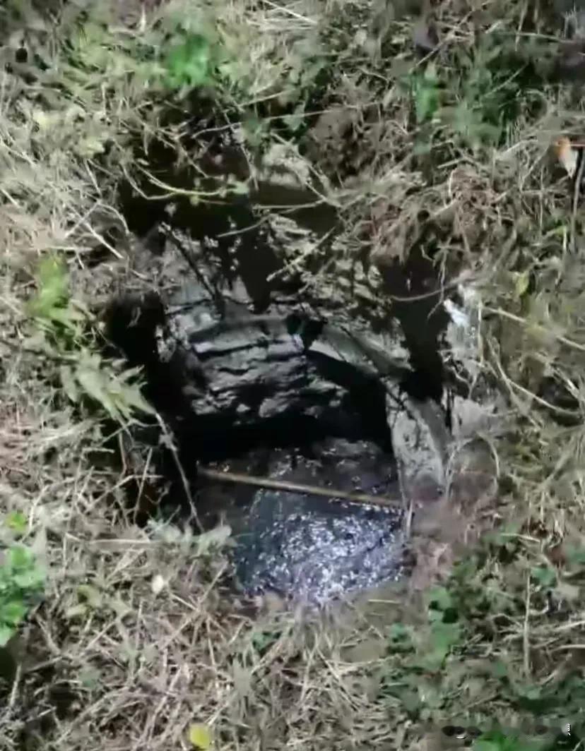 化粪池居然没有井盖，这到底属于哪方在管？三名小孩就掉进了这个化粪池不幸身亡。据目