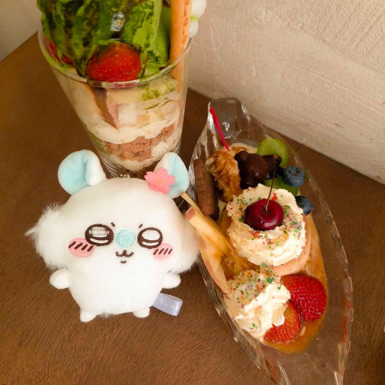 带小猪去拍了漂亮饭23442 