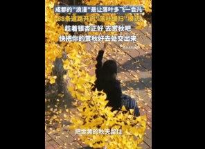 【成都68条街开启落叶缓扫模式】成都的浪漫是让落叶多飞一会儿成都的“浪漫”是让落