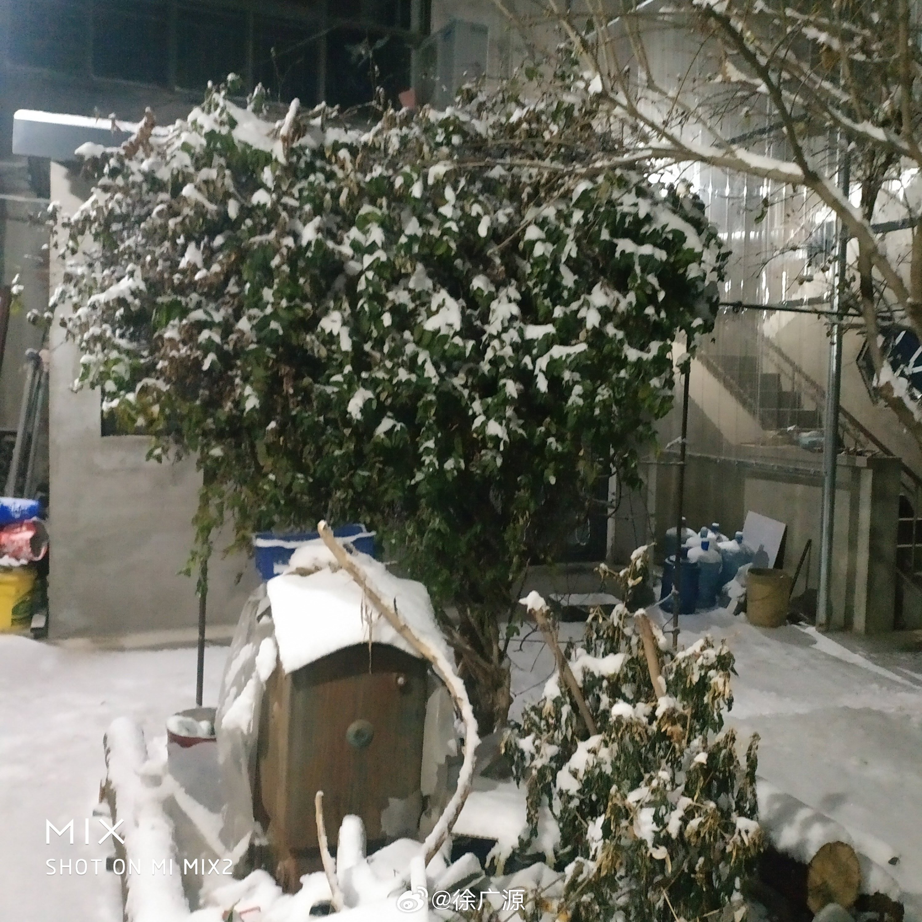 今天下午下了第二场雪。比第一场大些。 ​​​