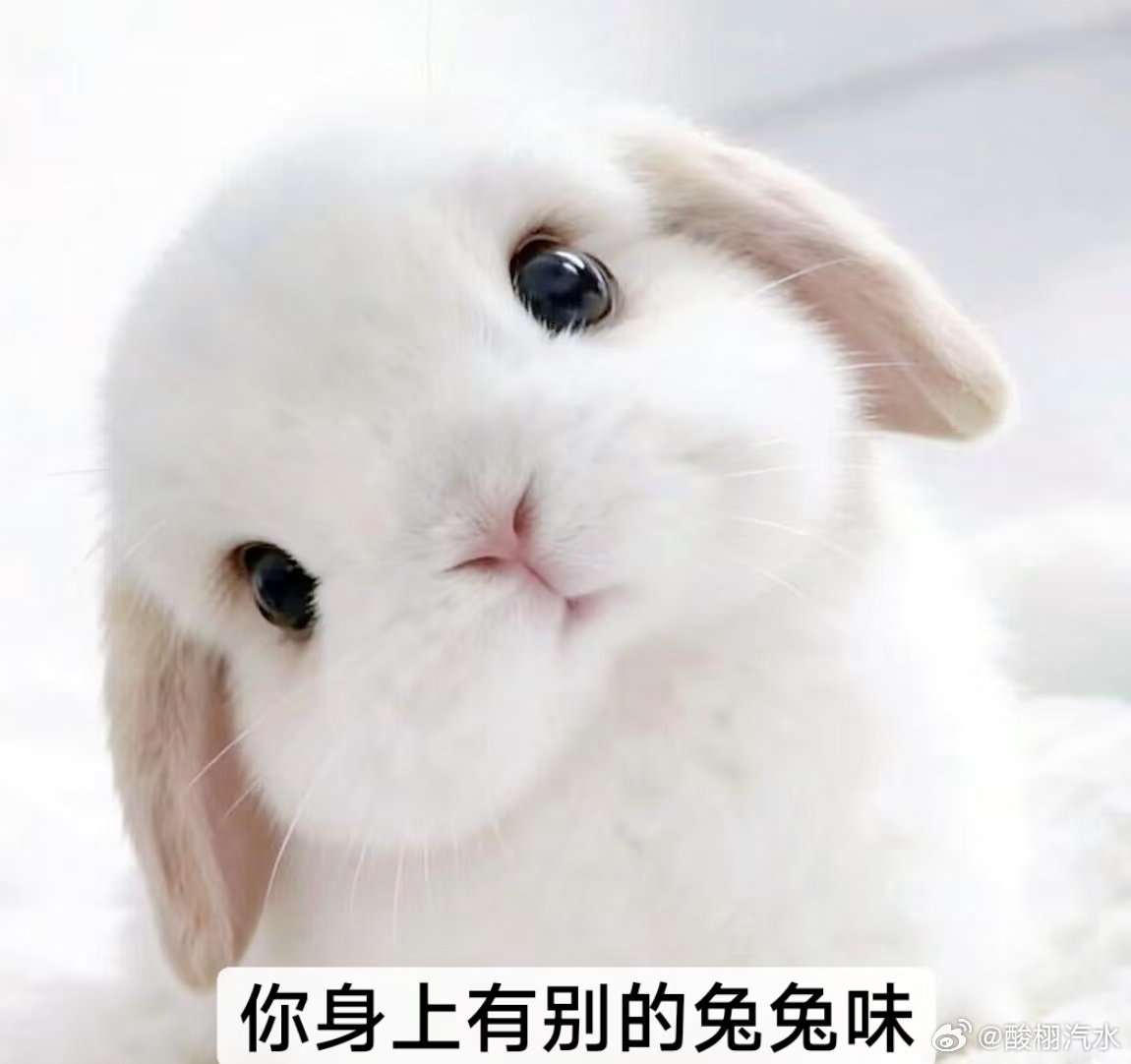 我将拿出 