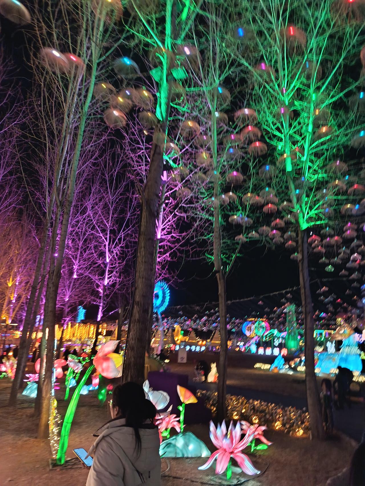 新年就像一幅绚丽多彩的生活图鉴，各地年俗是其中最动人的笔触。
北方的新年，庙会是