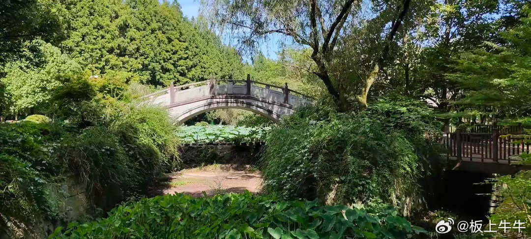 机会就是跌出来的昨天股市大跌，今天上午还在跳水，收盘时却大涨了。这难道不是最好的
