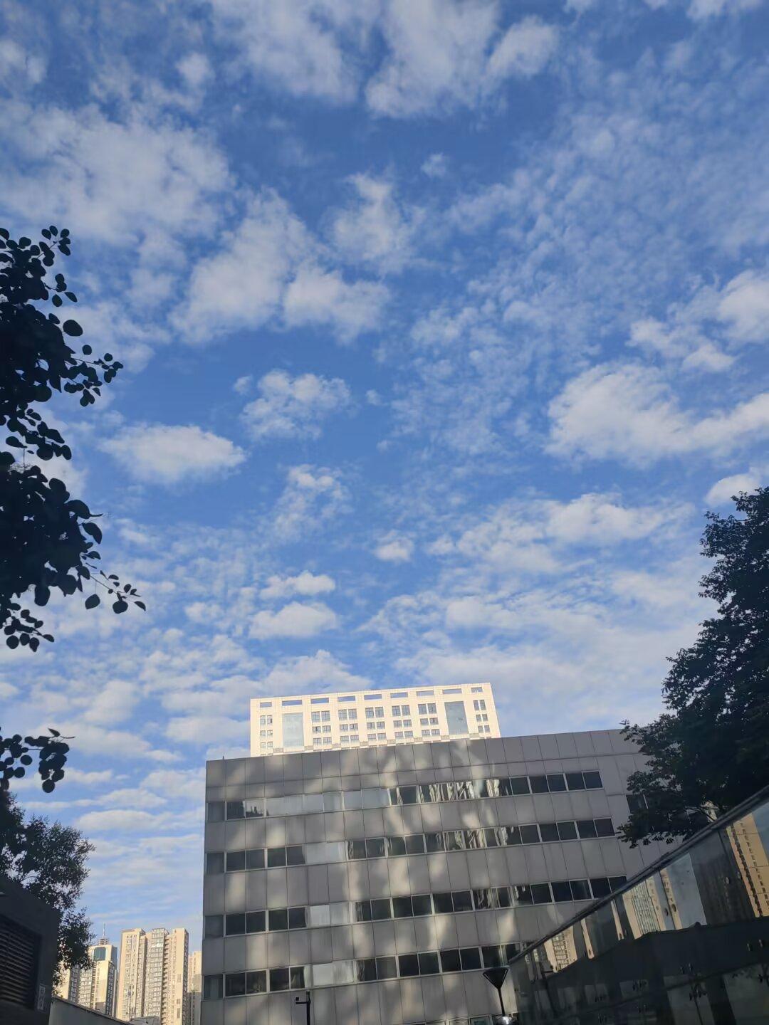 清晨出门，先在小区慢悠悠散步，之后顺着小路走到公园。出门时天边还蒙着一层淡淡的薄