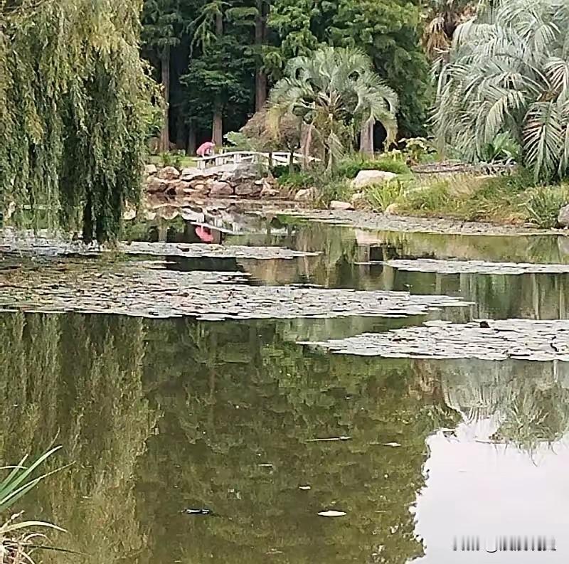 还活着的老年朋友，你一定要清楚，人死灯灭油枯。
其实人死一旦过了三天之后，什么都