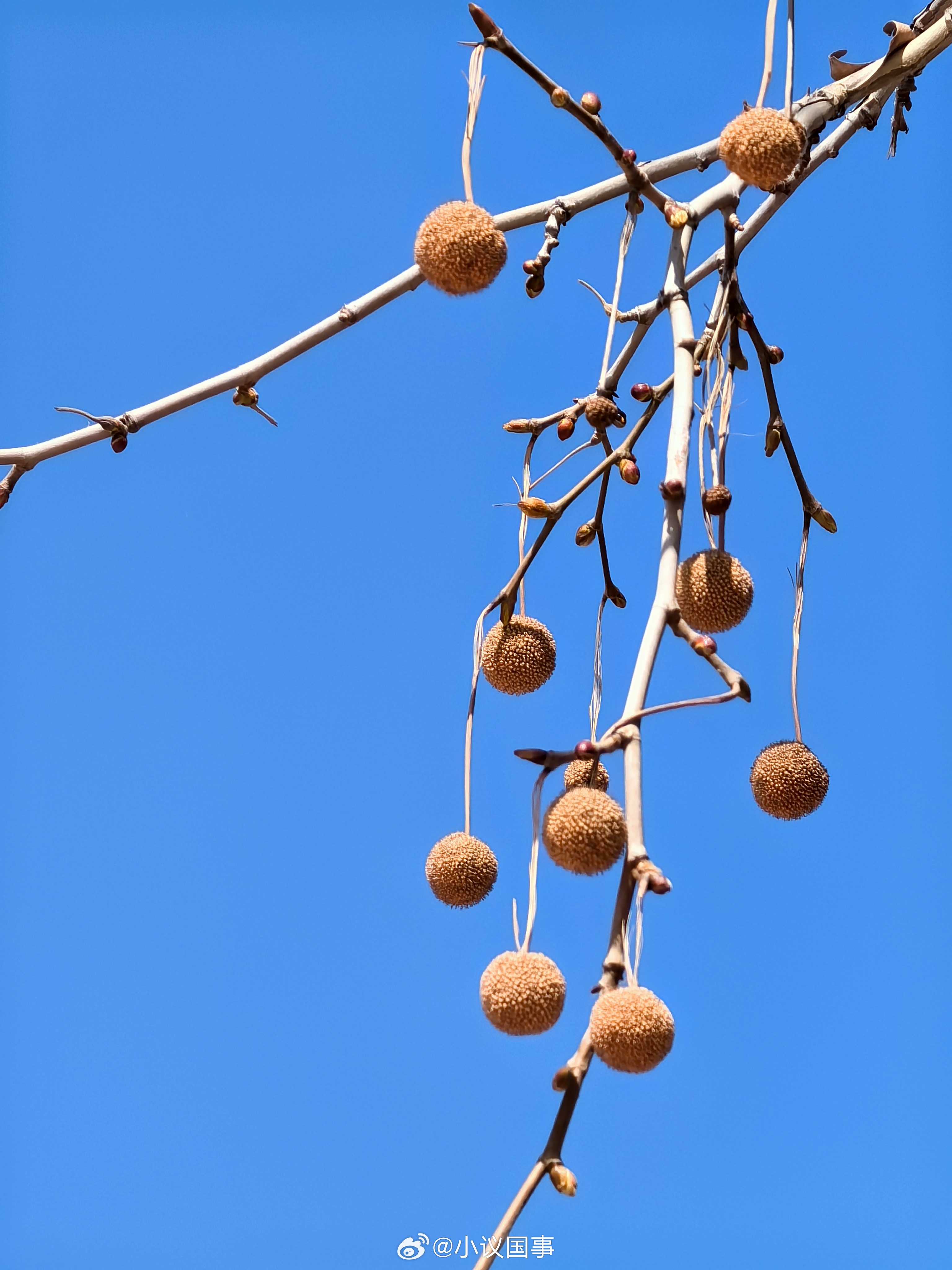 具身认知的灵魂优势就在于他的结论是干出来的，而不是教科书写出来的。陈年夜话