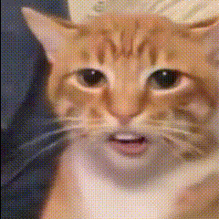 改年龄早一年领退休金，怎么不算FZK呢？噢~原来他自己才是真正的FZK！