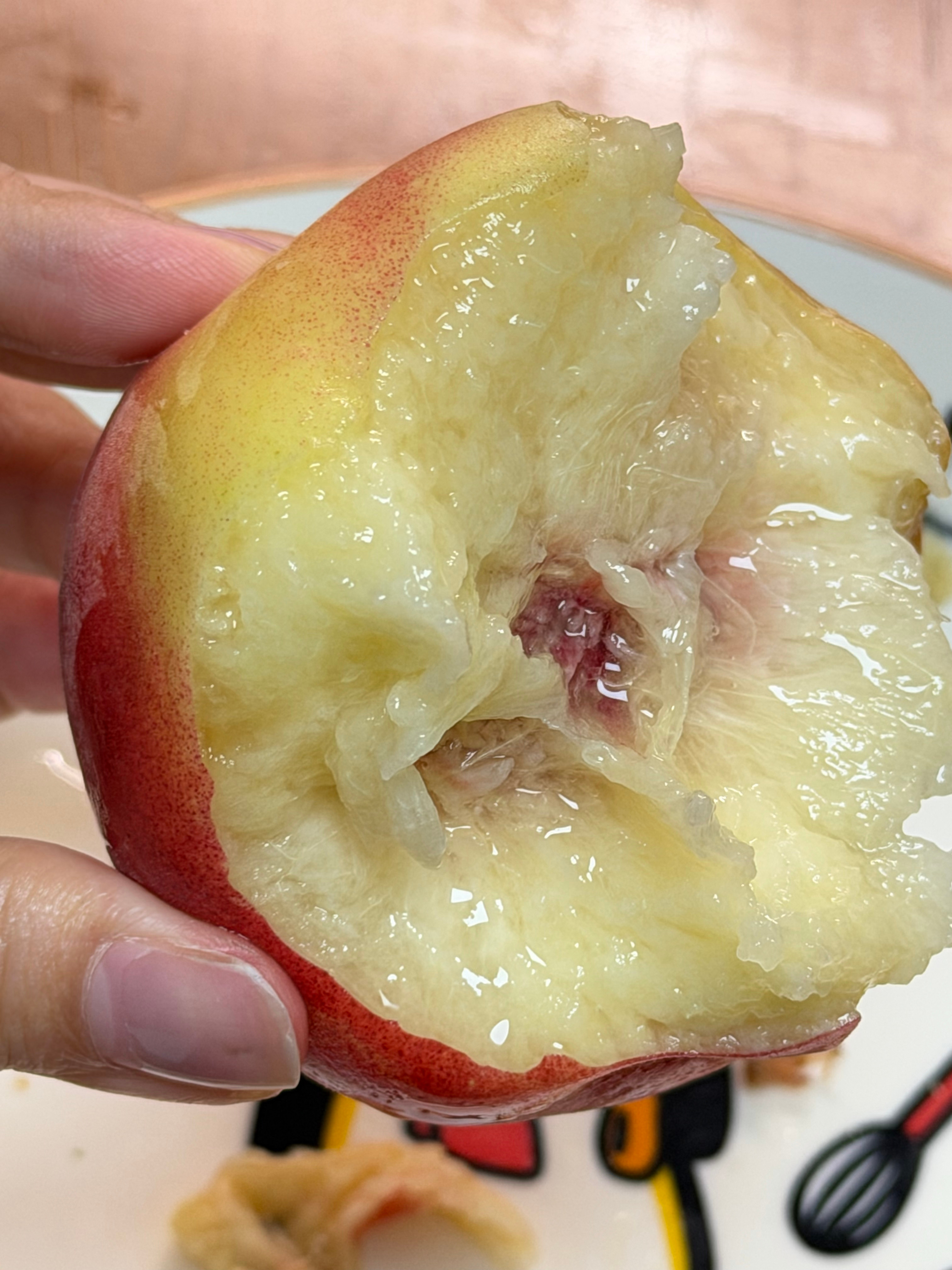 吹着空调看着书，啃着水蜜桃🍑旁边还放着榴莲我真的一点也不想出门旅游甚至到今天还