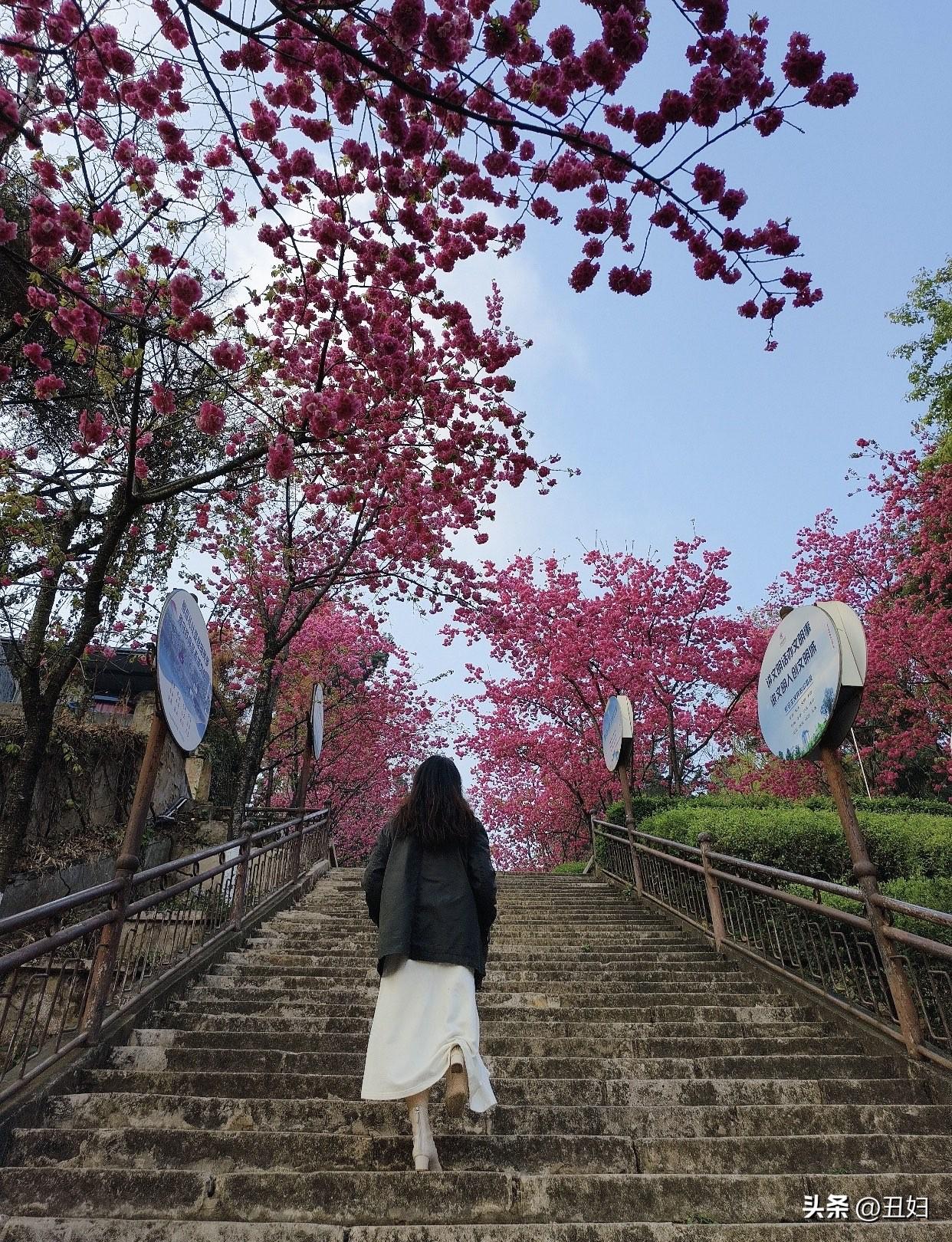 记录生活，随手拍张照这些随手拍的日常碎片，看似平凡，却藏着生活的本真。不必羡慕别