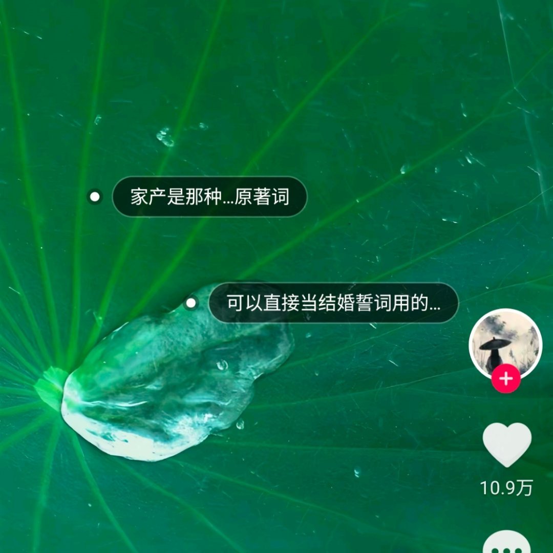 一个“天天见挺好”一个“圆满终于圆满”够用了[柯基] ​​​