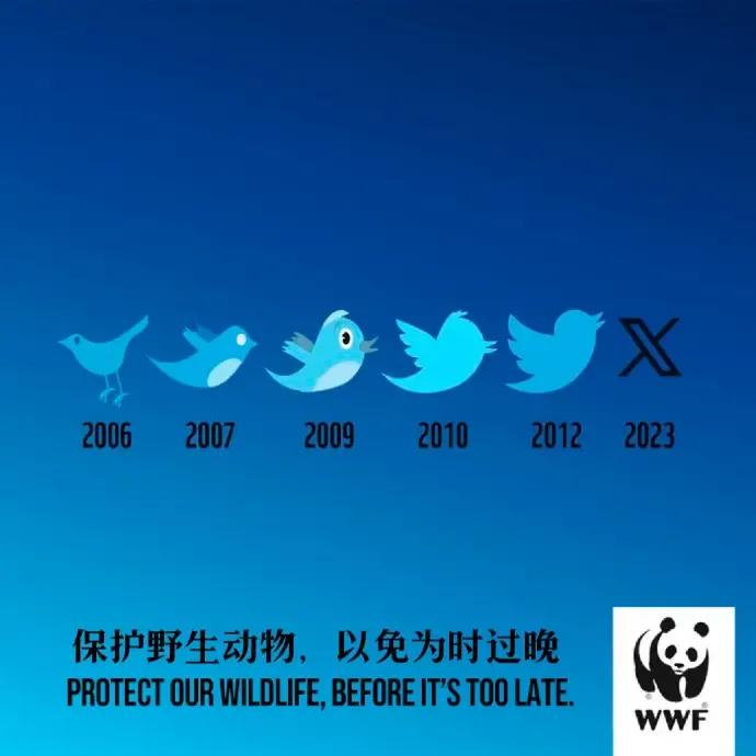 我觉得推特的图标演化进程，就是一部自然退化史