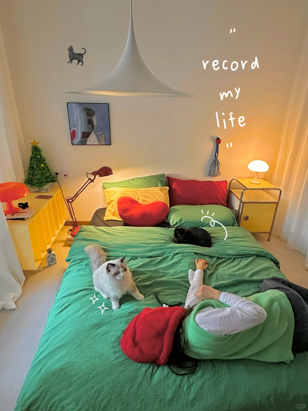 新年丨小猫跟我都有了自己满意的卧室🏠
