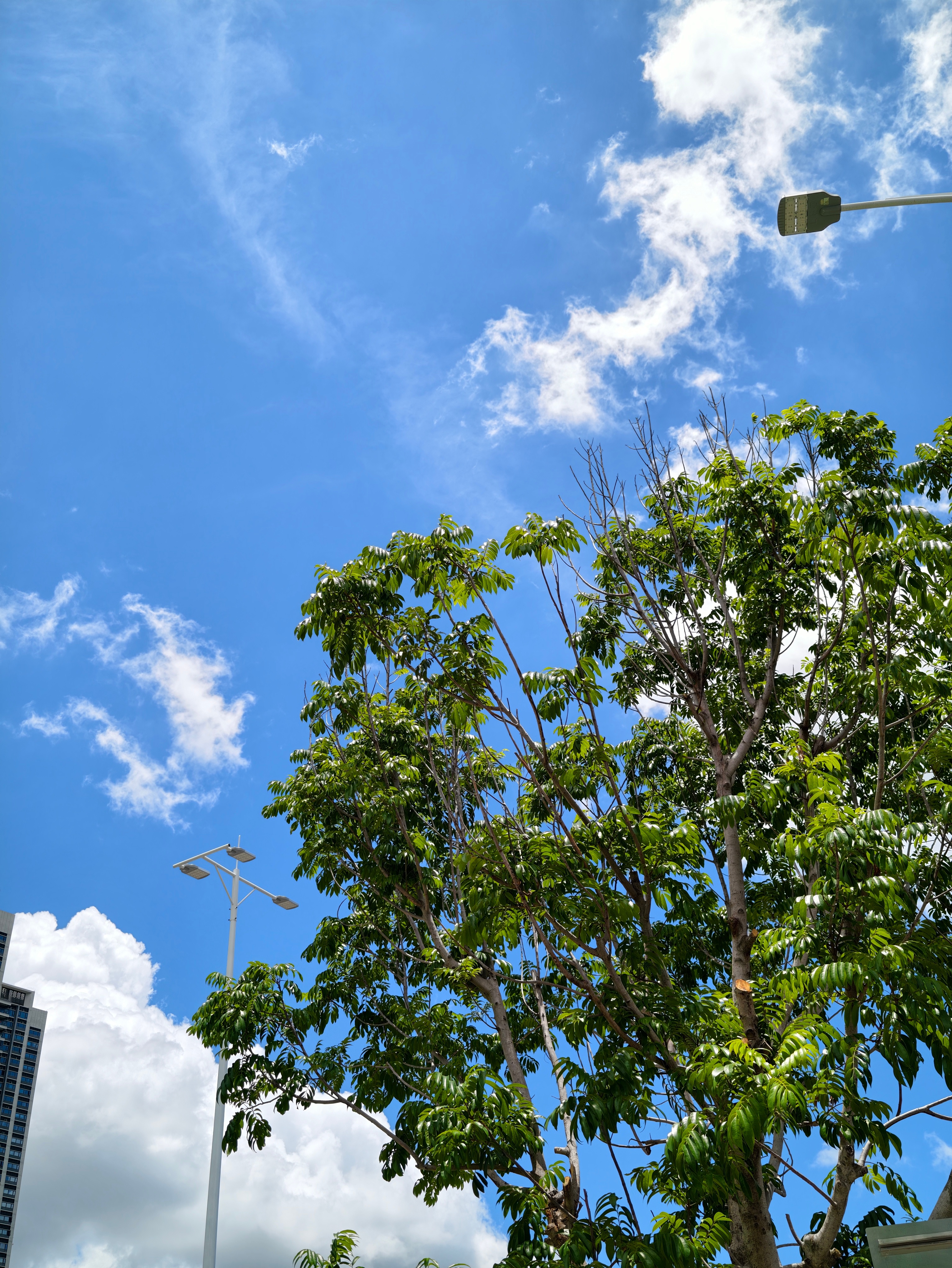 蓝天白云心情很好图六我像是吸血鬼身份暴露，漏出獠牙了小雨的平凡日常