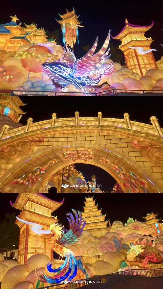 夜徒两万步 花费三千五 居然是这种⁉️