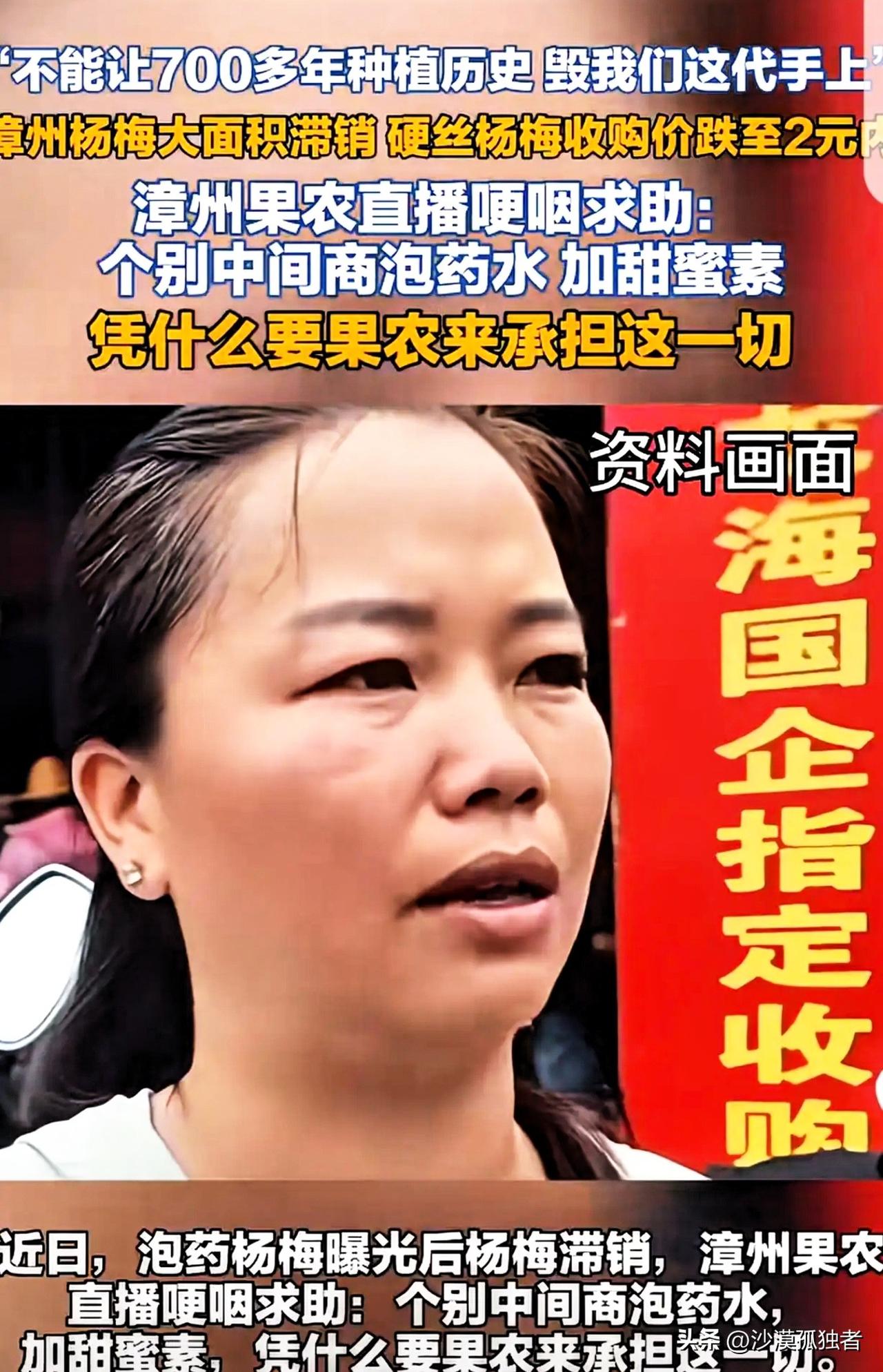 “吃毒杨梅的还没哭，卖毒杨梅的倒先哭了！”福建漳州，一女子家祖祖辈辈种杨梅，可“