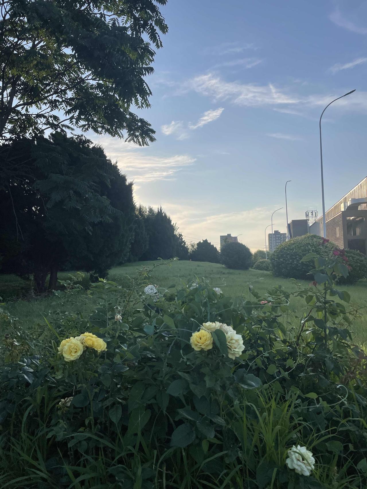 晨光不问赶路人，时光不负有心人。每天的晨跑5公里，早已经成为我生活中的一部分。