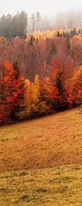 双调·沉醉东风  初冬
                            