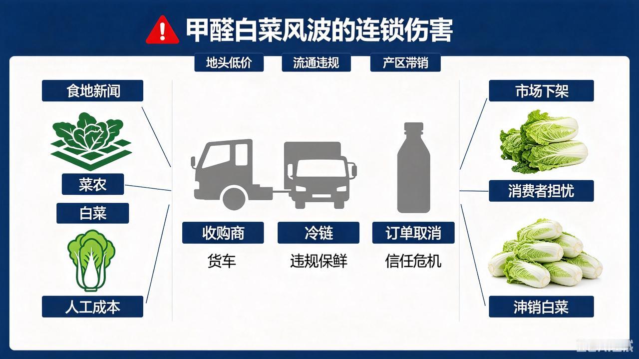 商贩的违规，不该由菜农独自买单
 
一场商贩违规保鲜引发的食品安全风波，让整片产