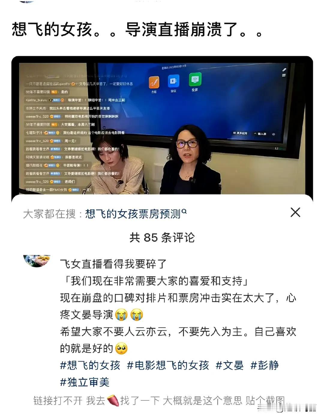 想飞的女孩扑到只有1500万票房，导演直播都崩溃了，这怪谁？
个人觉得，演的都没