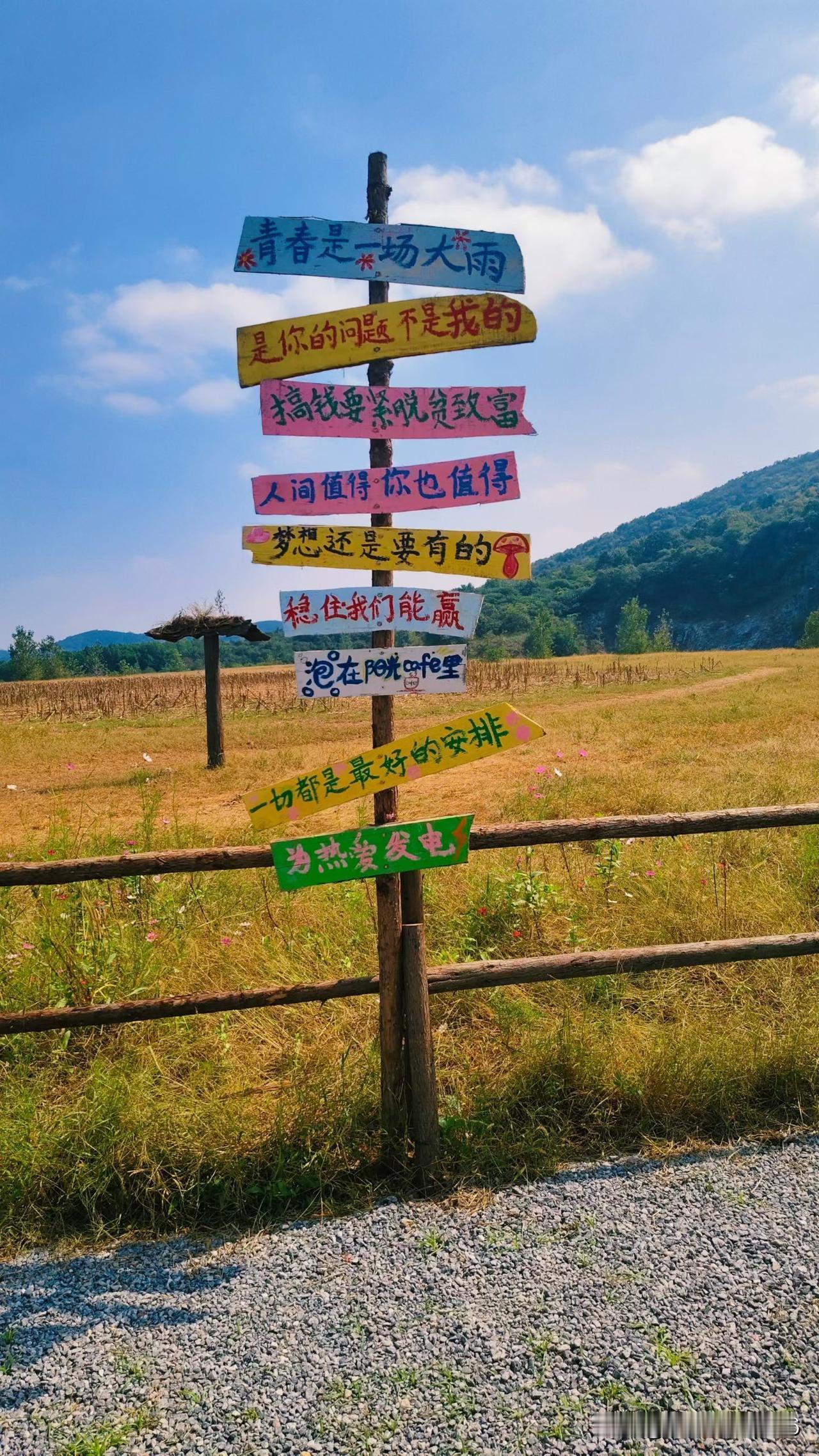 人声渐远，万物收敛成简净的线条。梧桐叶半青半黄，三三两两飘落，在石阶上叠成疏朗的