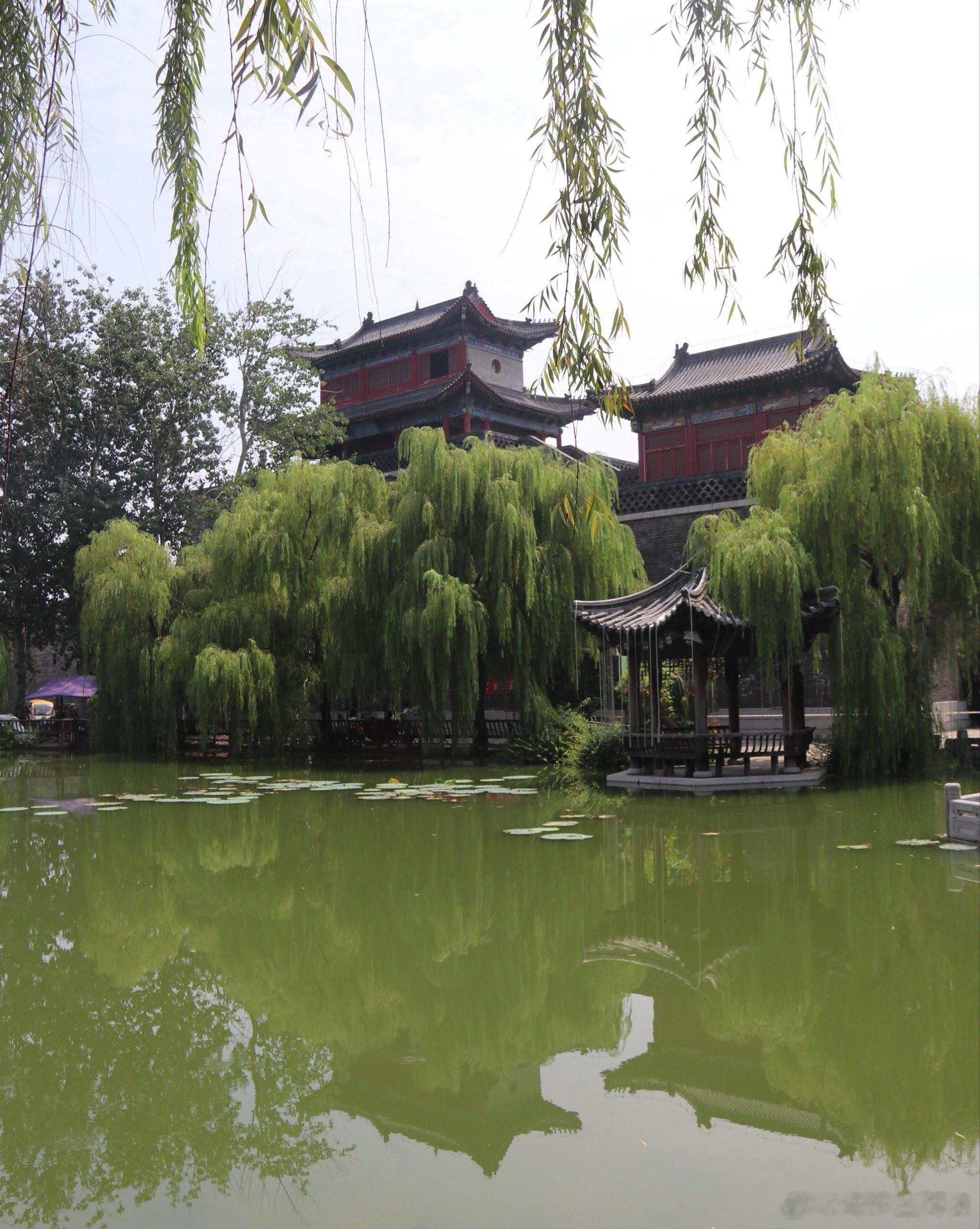 心里话         别太顺从，拒绝不喜欢的事；人生不是讨好别人，而是宠爱自己