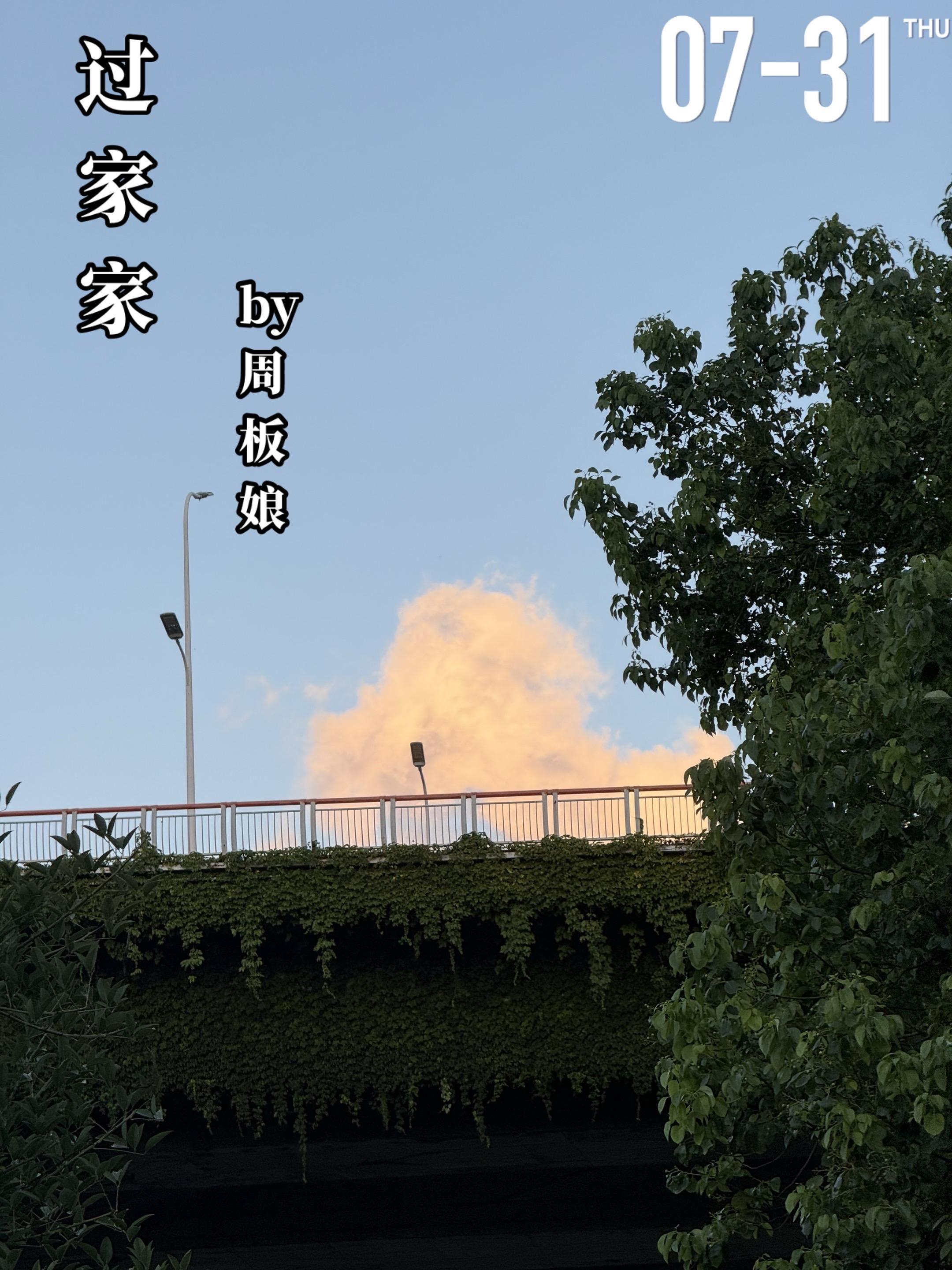 《过家家》by周板娘。808——一套出租房，聚集了三个在生活中过得并不...