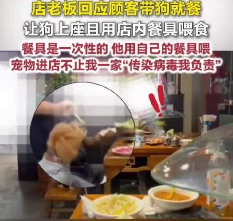 马鞍山店主放话“狗用一次性餐具出事我负责”，网友怒了：这不是负责，是漠视所有人！