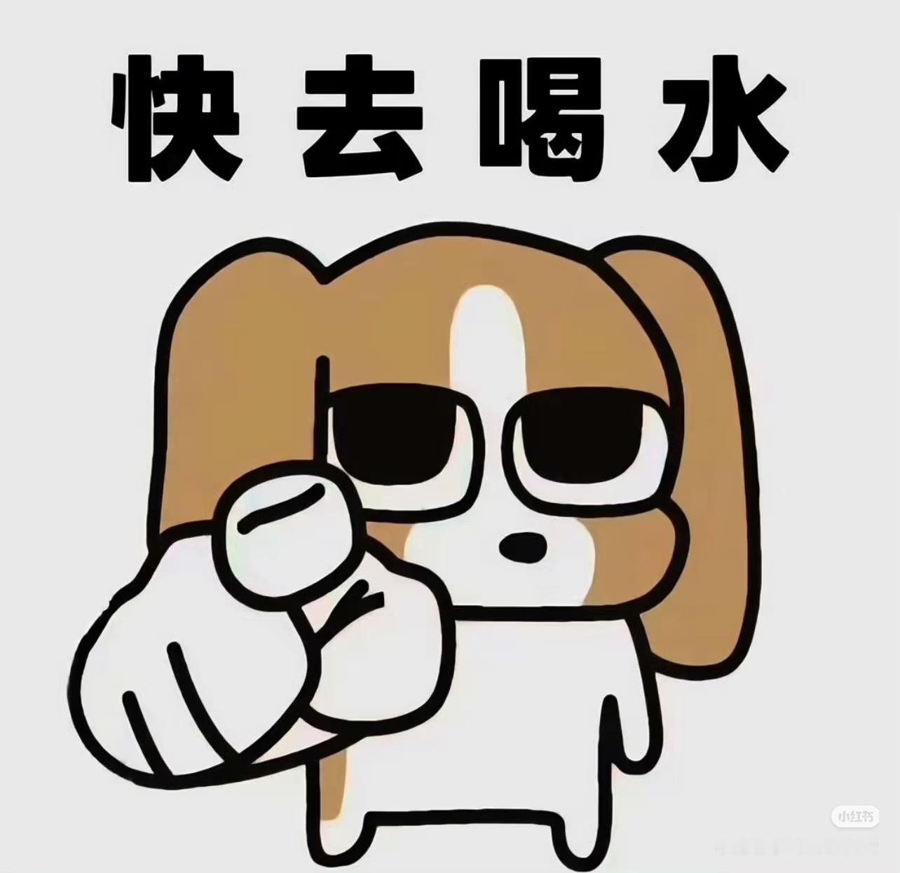 张新成 下班啦