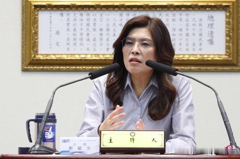 谷立言发声后！郑丽文表态：两岸对话就是维持现状

6月23日，美国在台协会处长谷