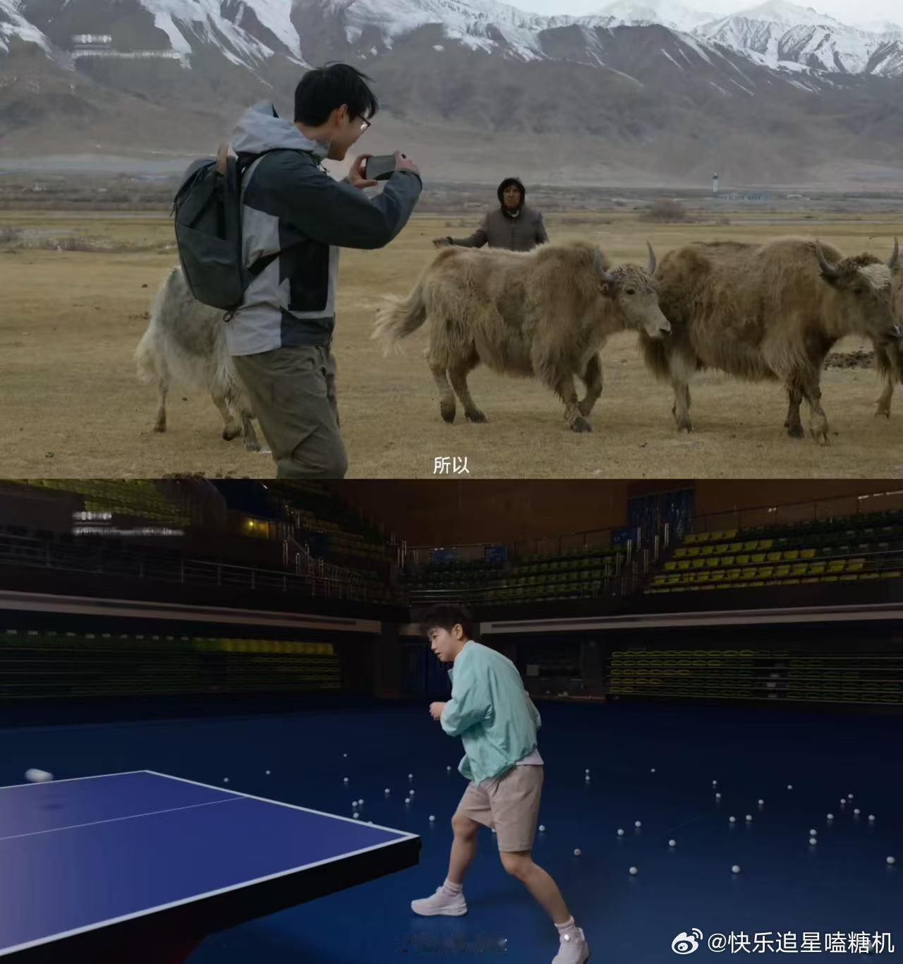 孙颖莎Links梦幻联动 孙颖莎和links同框了，破次元壁成功。一个在球台上拼