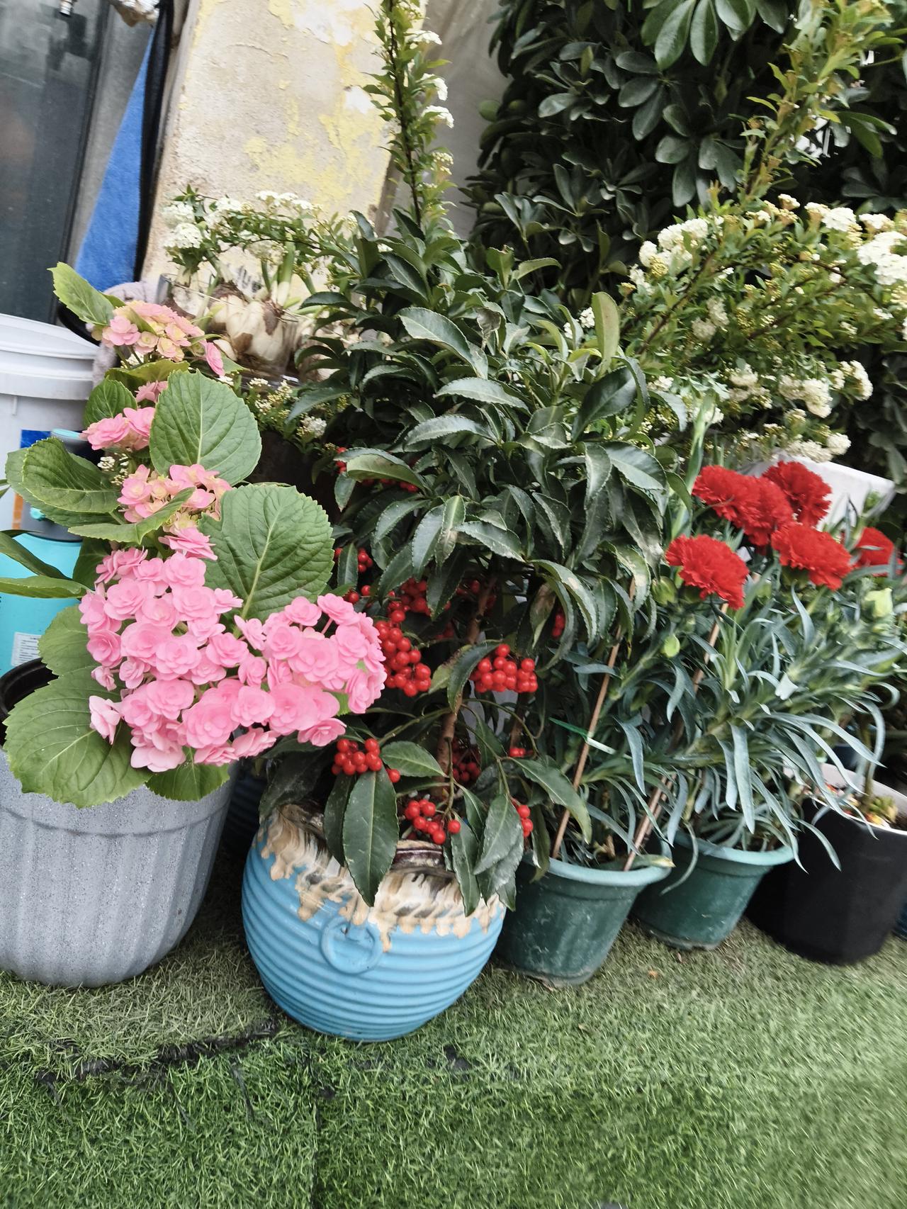 新年爱好打卡每天快快乐乐的过一天真的很舒服啊。把烦心的事儿都扔一边。找合适的人多