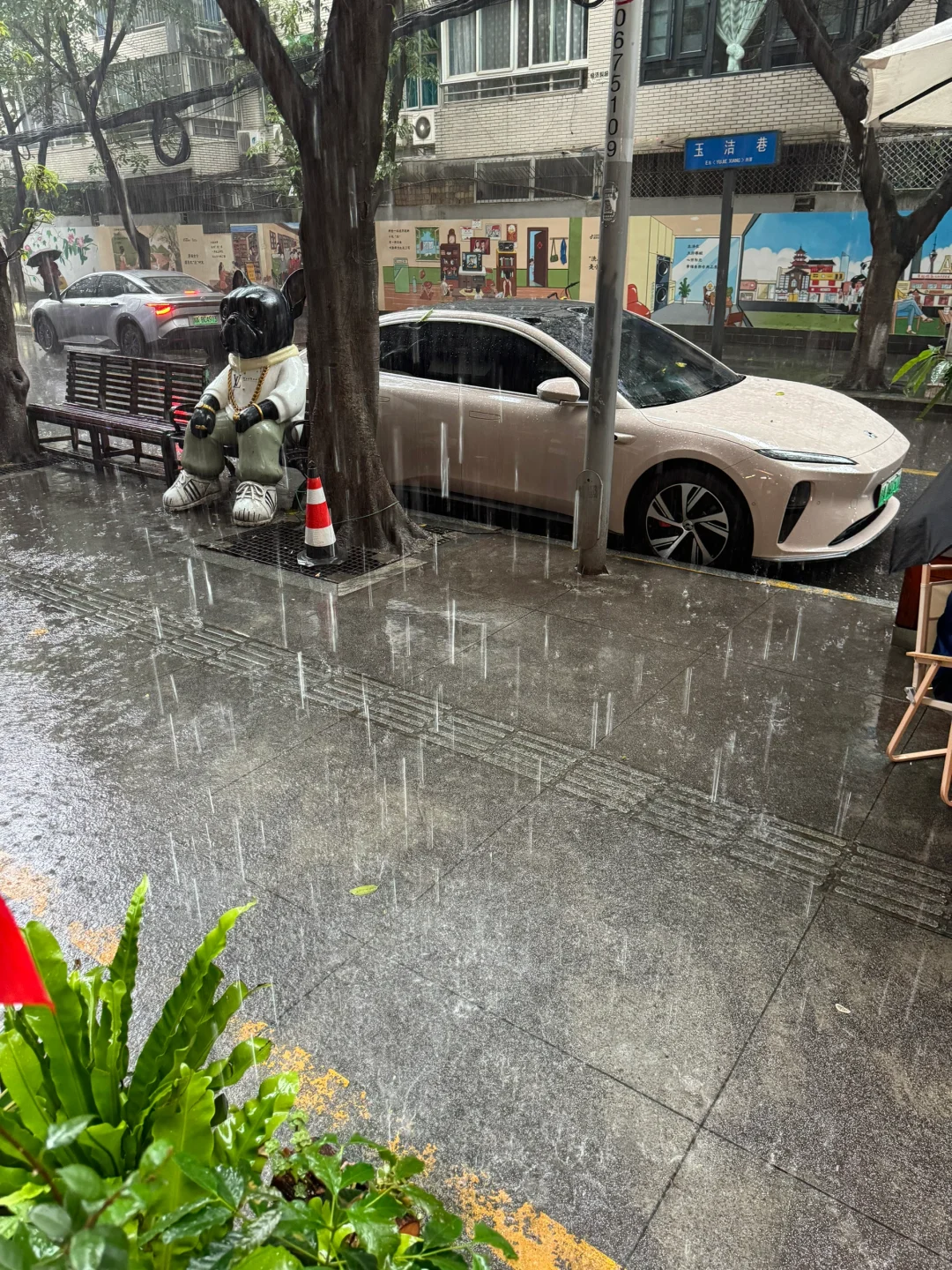 成都！！成都！！突如其来的暴雨！！！！！